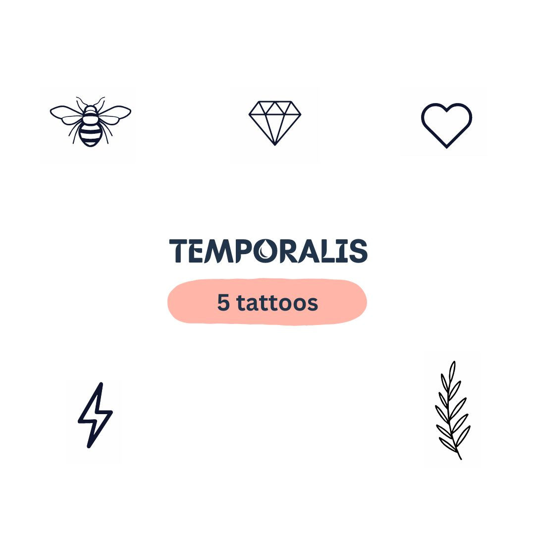 Zestaw 5 mini tatuaży tymczasowych: liść, pszczoła, błyskawica, diament, serce