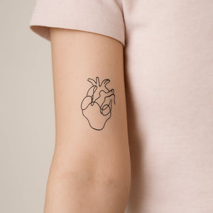 Anatomical Heart Outline 1 - Temporalis