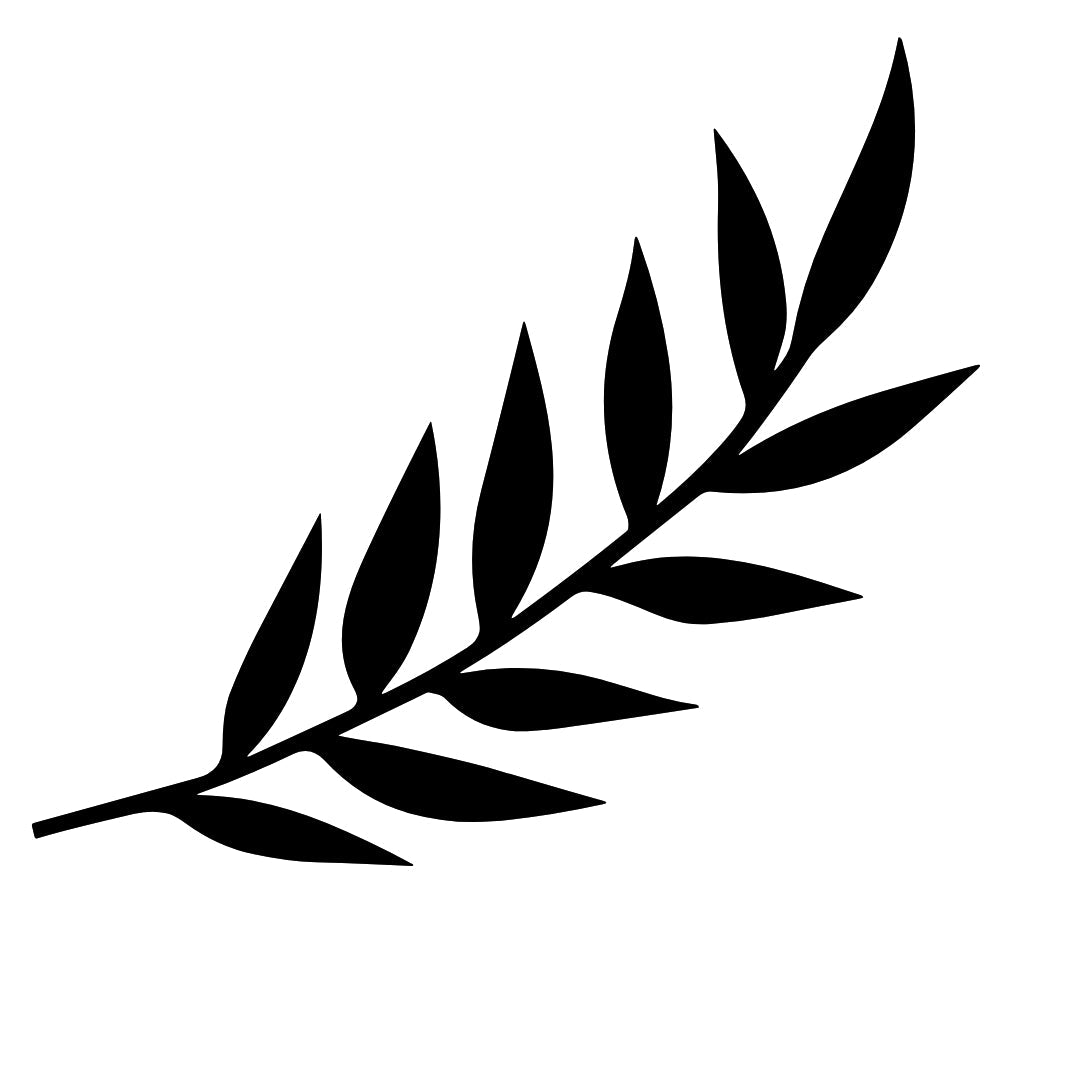 Black palm leaf 2 - Temporalis