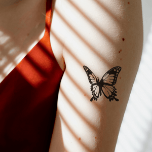 Butterfly 1 - Temporalis