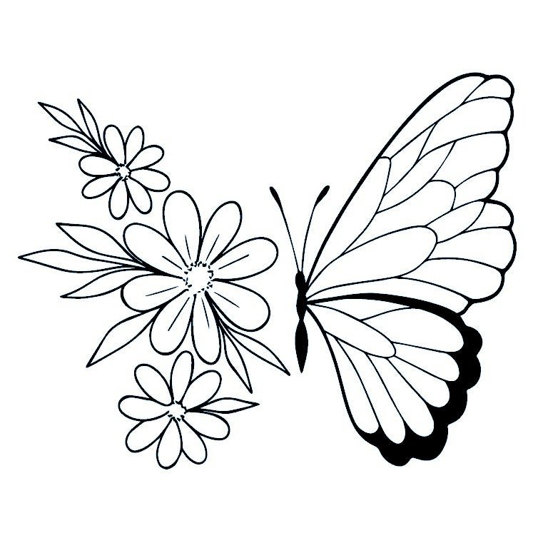 Butterfly and Flowers 2 - Temporalis