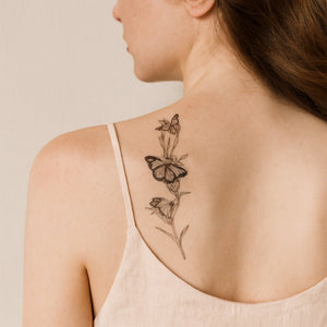 Butterfly Dance 1 - Temporalis® - Tatouage temporaire