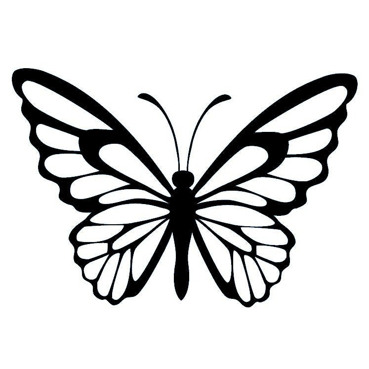 Butterfly Silhouette Temporary Tattoo - 2 | Temporalis