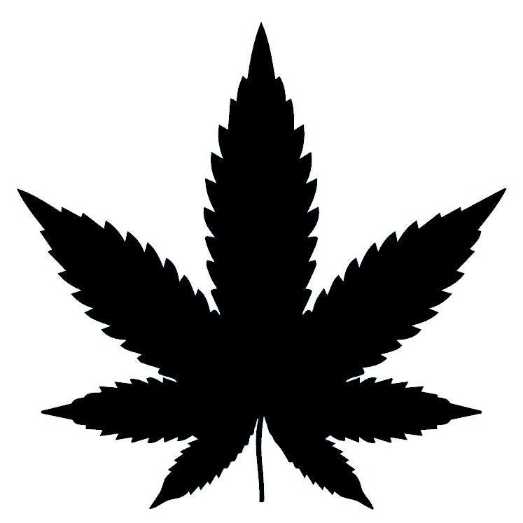 Cannabis Leaf 2 - Temporalis