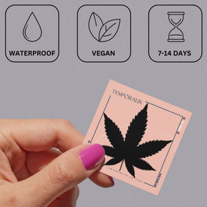 Cannabis Leaf Silhouette Temporary Tattoo 4 - Temporalis