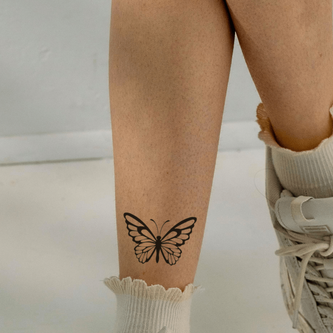 Detailed Butterfly 1 - Temporalis