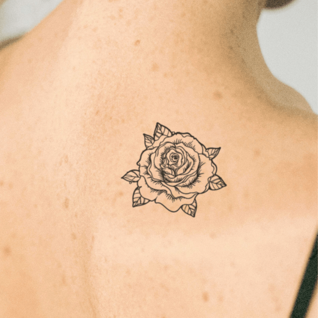 Detailed Rose 1 - Temporalis
