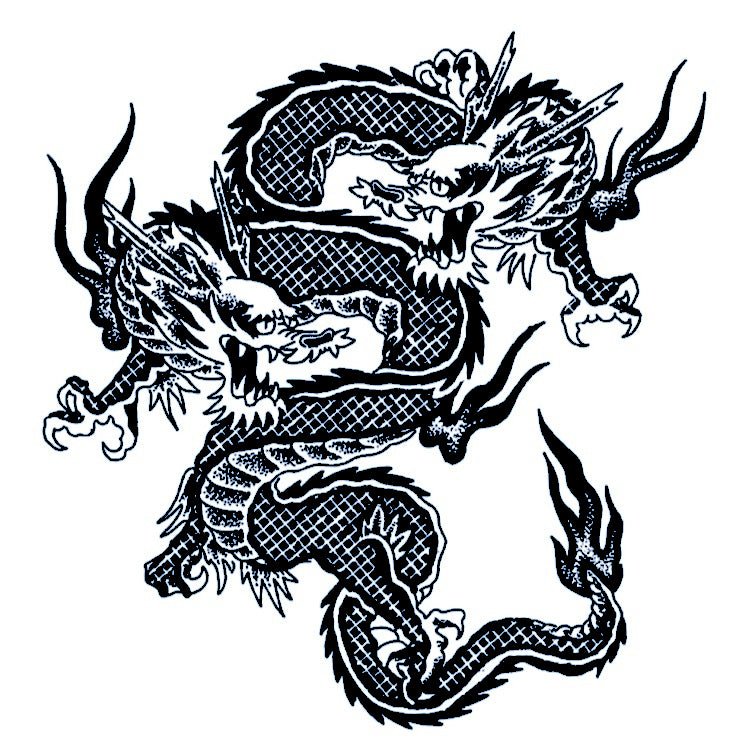 Two Realistic Dragons 2 - Temporalis