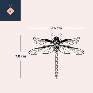 Elegant Dragonfly 3 - Temporalis