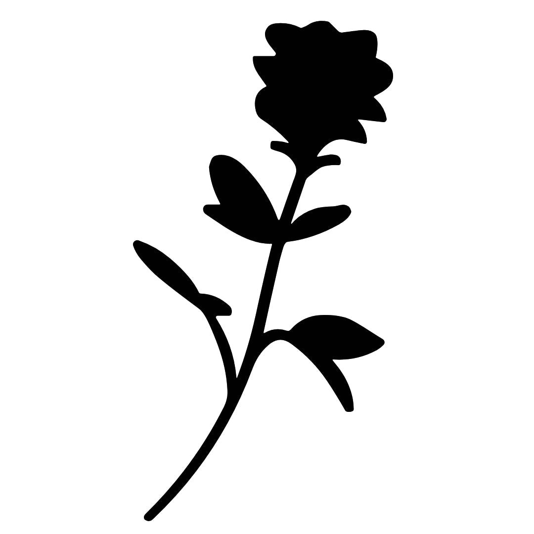 Elegant Rose Silhouette 2 - Temporalis