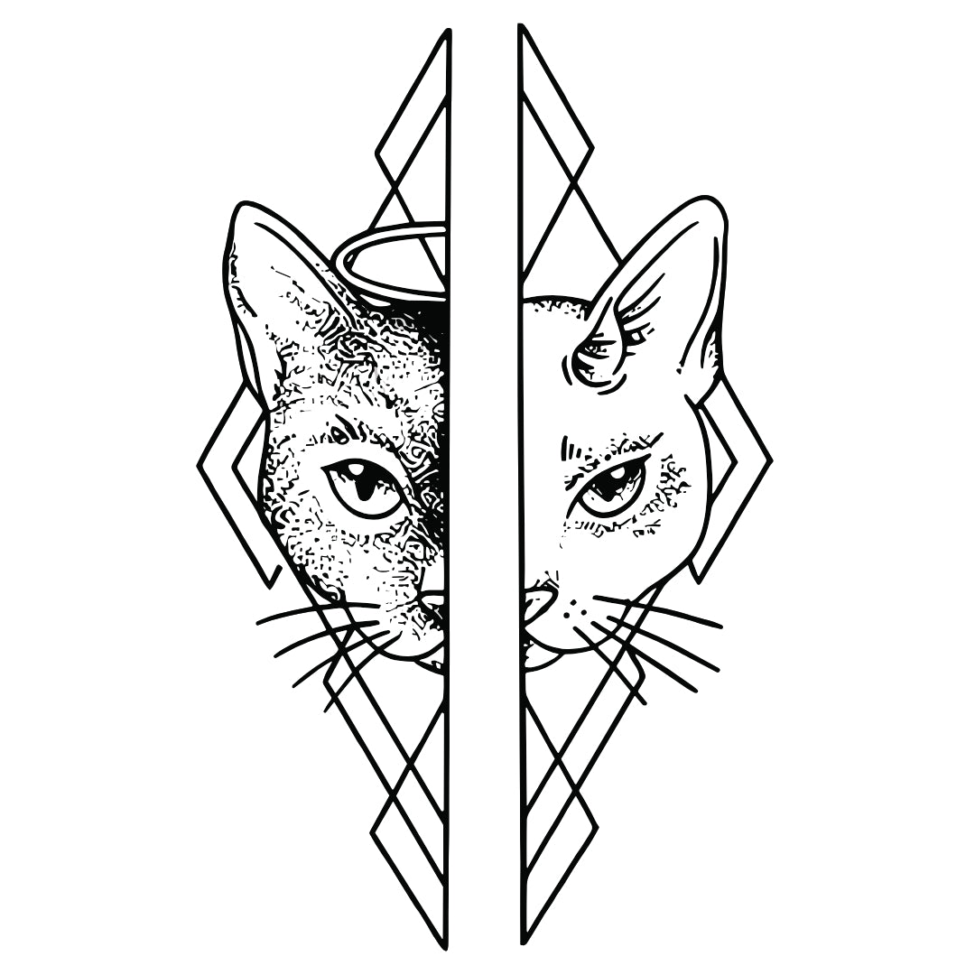 Feline duality 2 - Temporalis