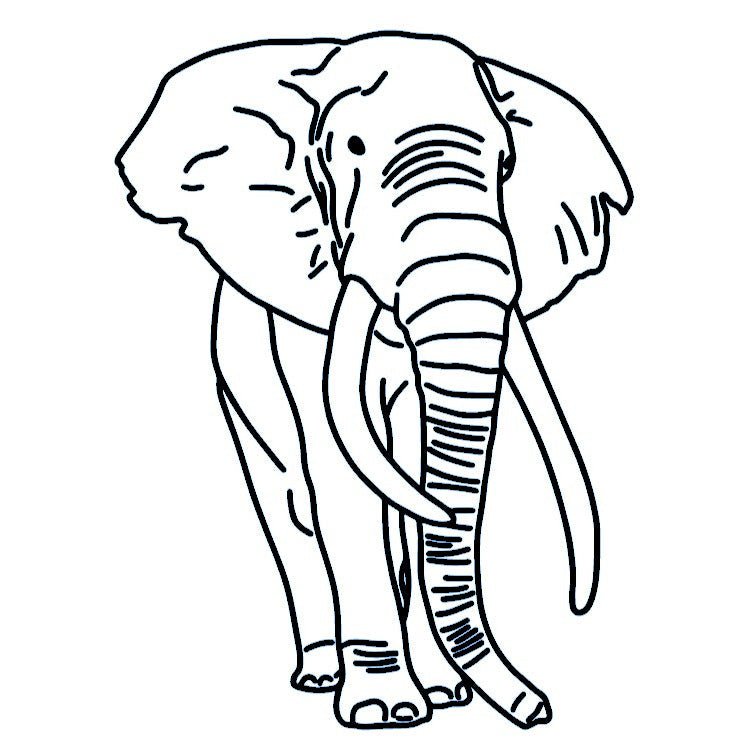 Fine line elephant temporary tattoo - 2 | Temporalis