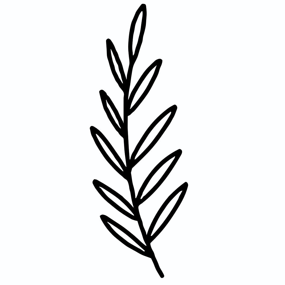 Fine line leafy branch temporary tattoo - 2 | Temporalis