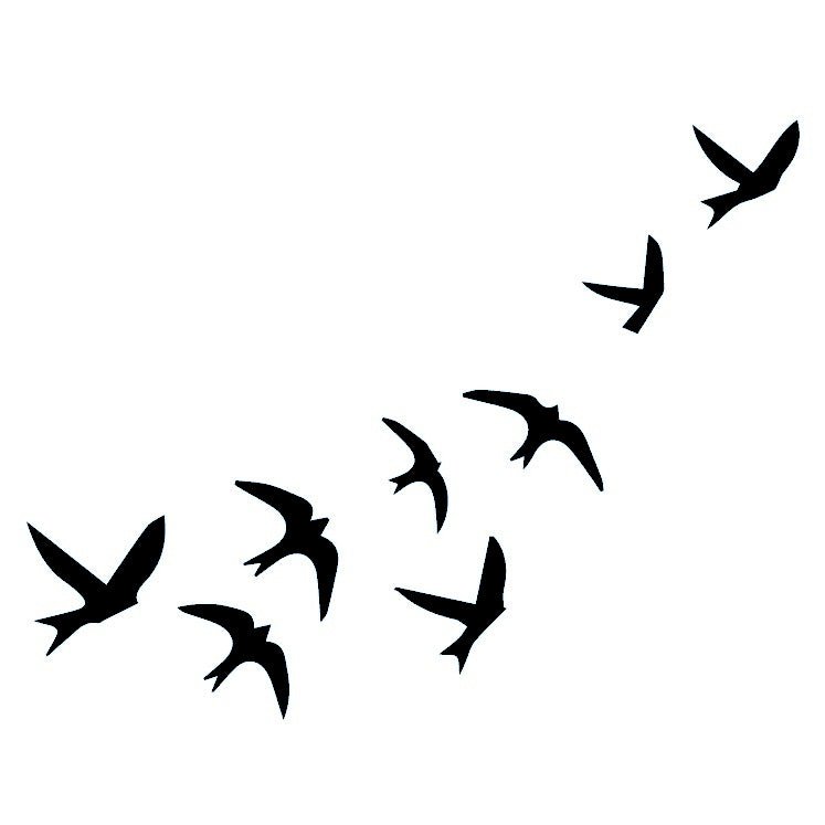 Flock of Birds 2 - Temporalis
