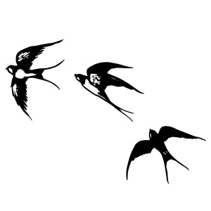 Graceful flight of swallows 2 - Temporalis