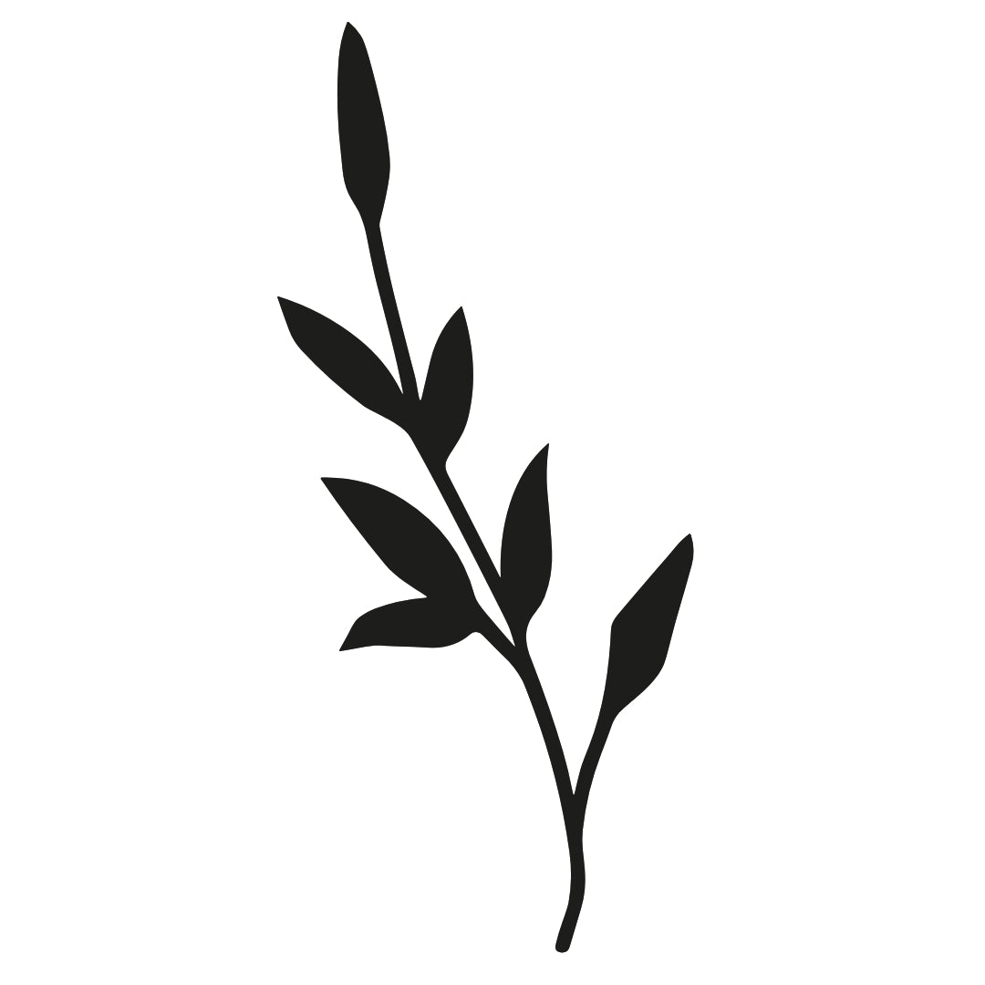 Leaf Sprig 2 - Temporalis