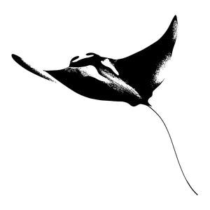 Majestic Manta Ray 2 - Temporalis