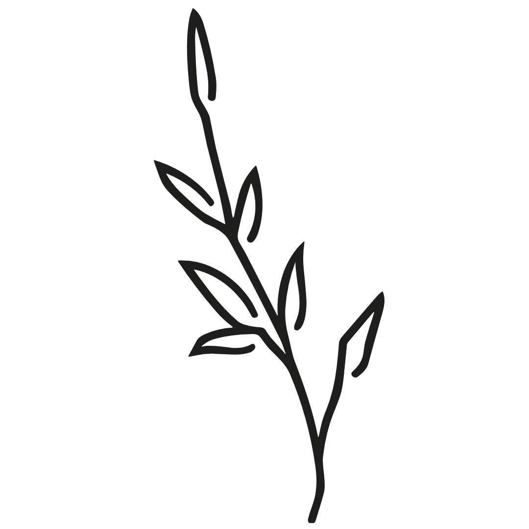 Minimalist Herb Stem 2 - Temporalis