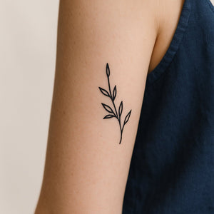 Minimalist Herb Stem 1 - Temporalis