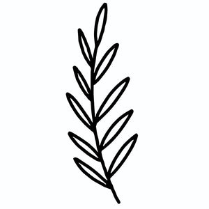 Minimalist Olive Branch 2 - Temporalis
