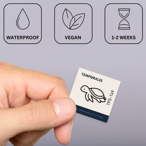 Minimalist swimming turtle 2 - Temporalis