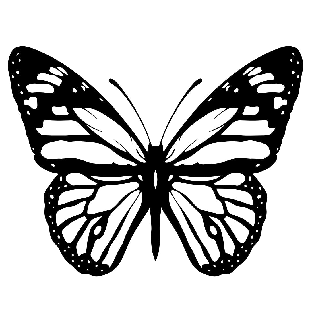 Monarch Butterfly Elegance 2 - Temporalis