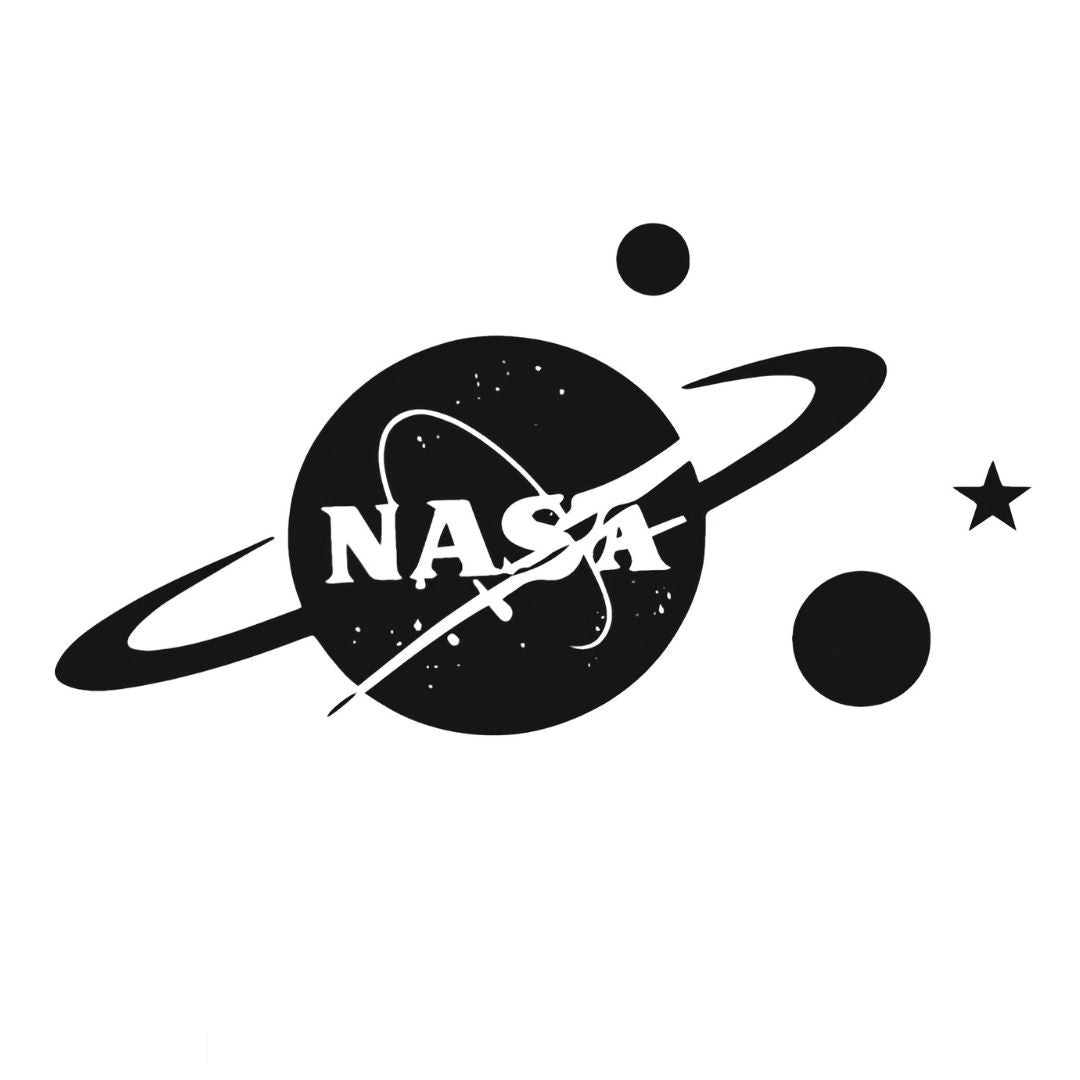 NASA Logo Tattoo - 2 | Temporalis