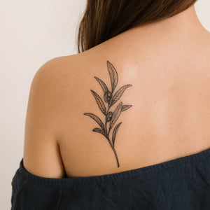 Olive Branch 1 - Temporalis