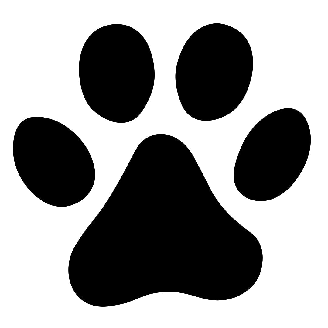Paw Print 2 - Temporalis
