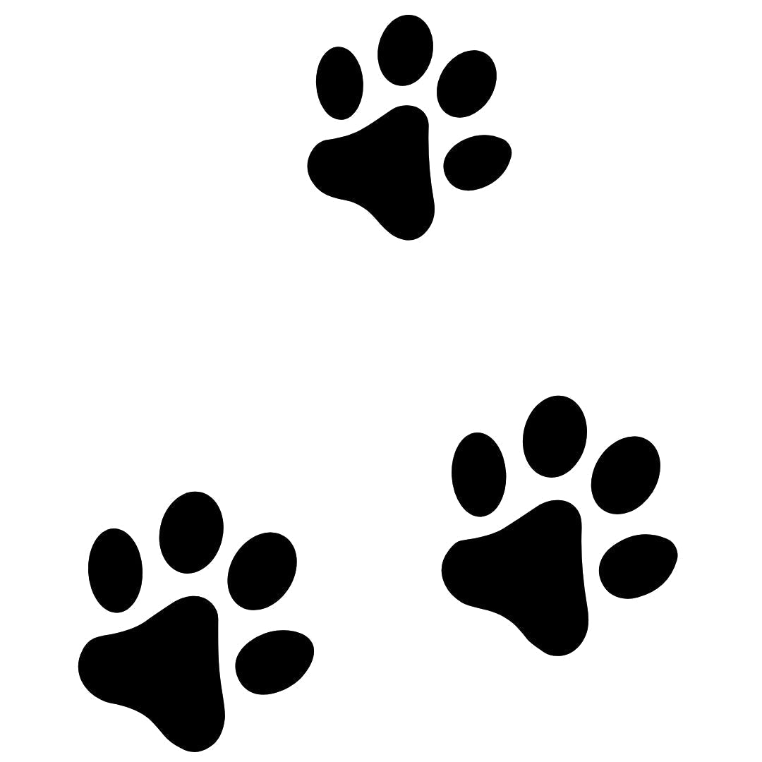 Pawprint Trio 2 - Temporalis