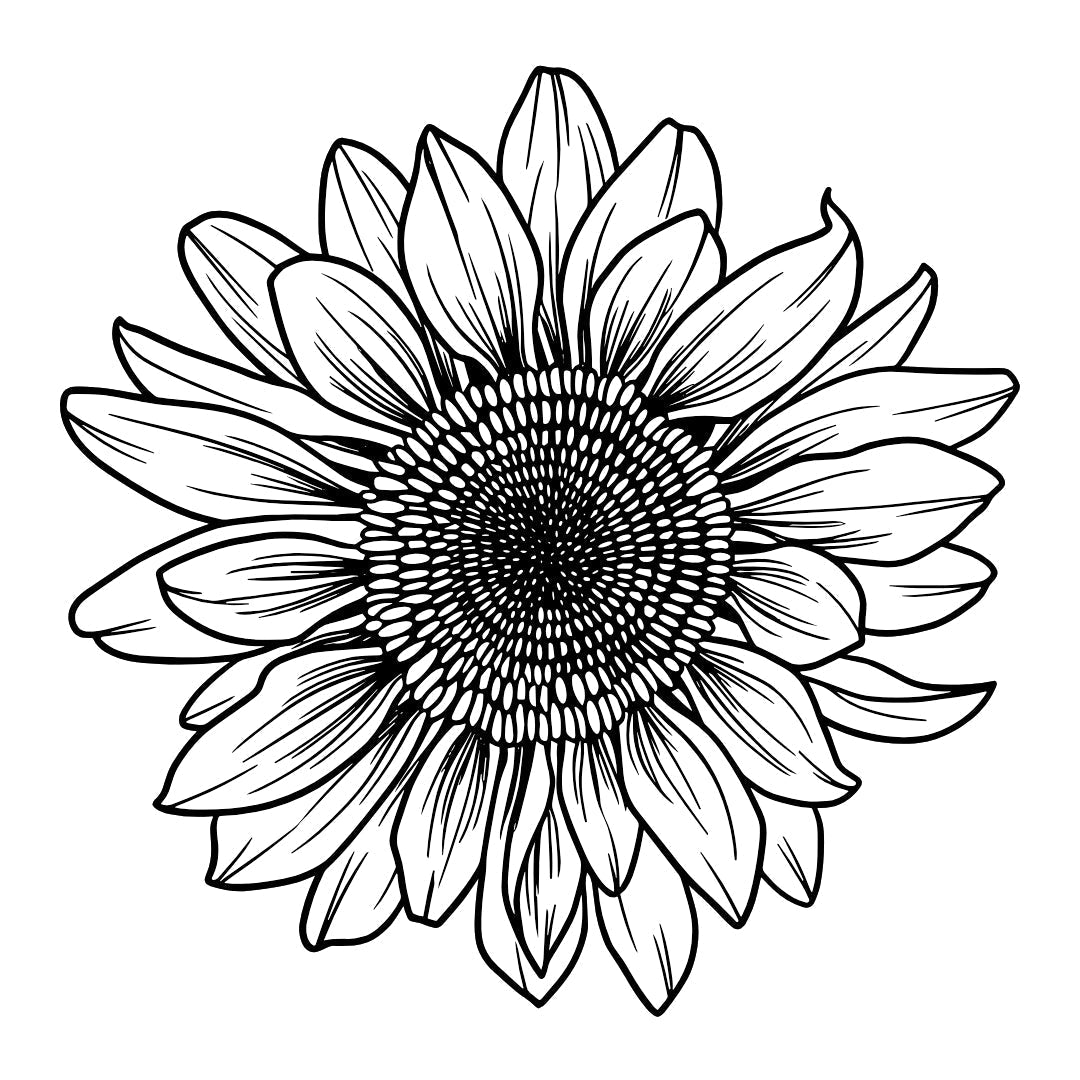 Realistic sunflower bloom temporary tattoo - 2 | Temporalis
