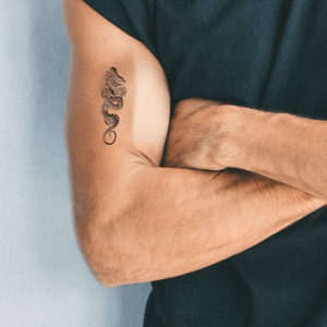 Snake wtih flowers 1 - Temporalis