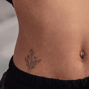 Spring Flowers 1 - Temporalis