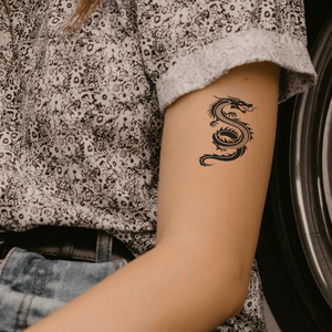 Swirling Dragon 1 - Temporalis