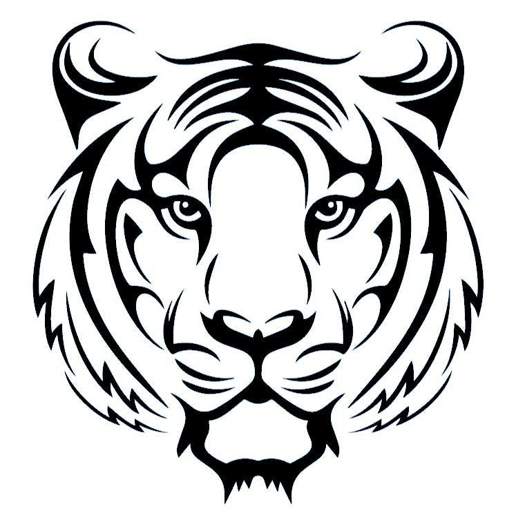 Tiger Head 2 - Temporalis