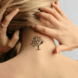 Tree of Life 1 - Temporalis
