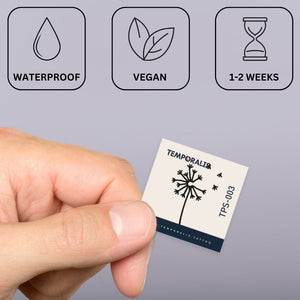 Wind - blown dandelion 2 - Temporalis