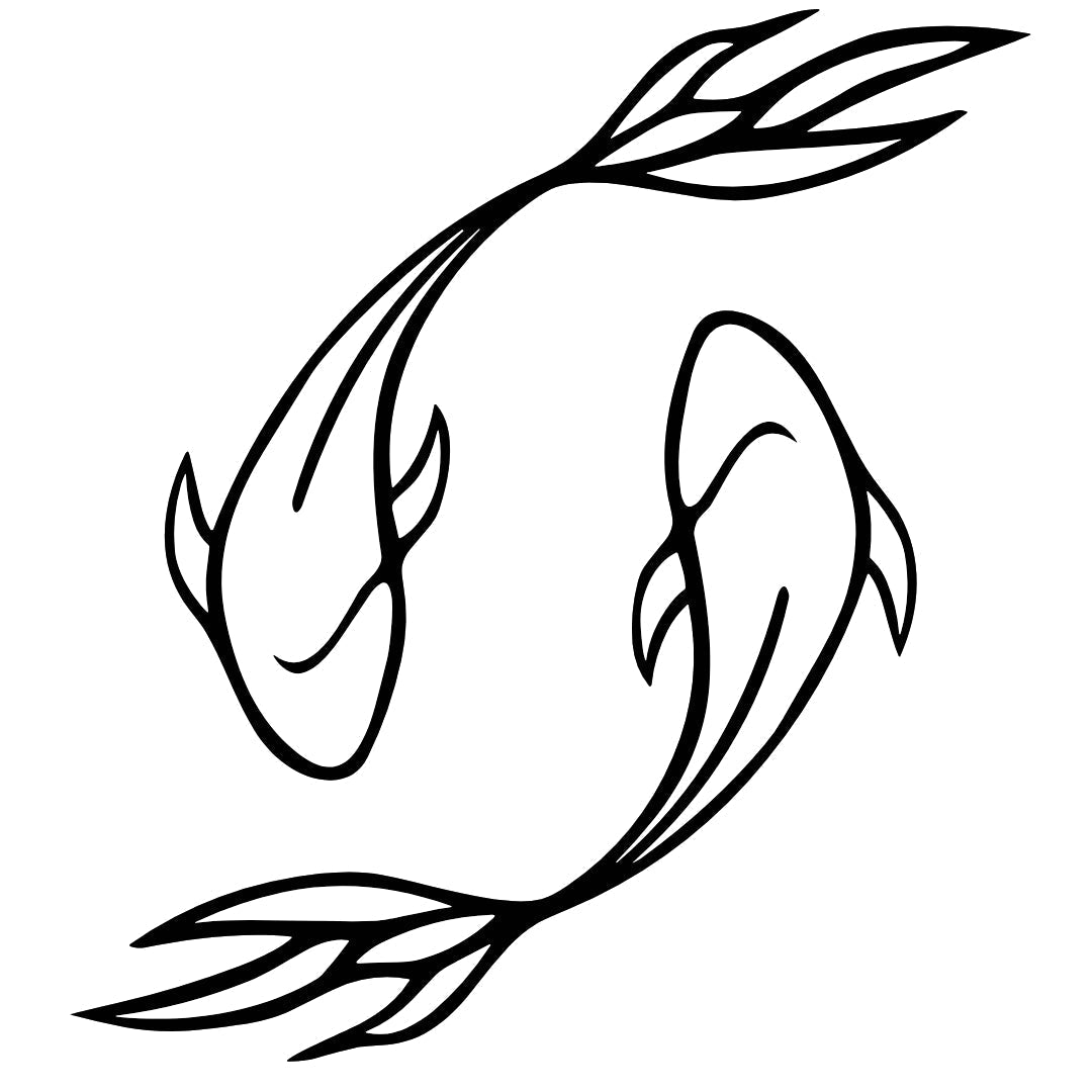 Yin Yang Koi Duo 2 - Temporalis