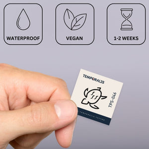 Zen Turtle 3 - Temporalis