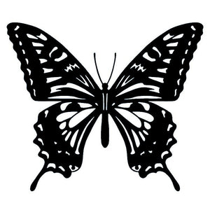 Butterfly 2 - Temporalis