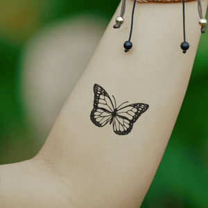 Butterfly 1 - Temporalis