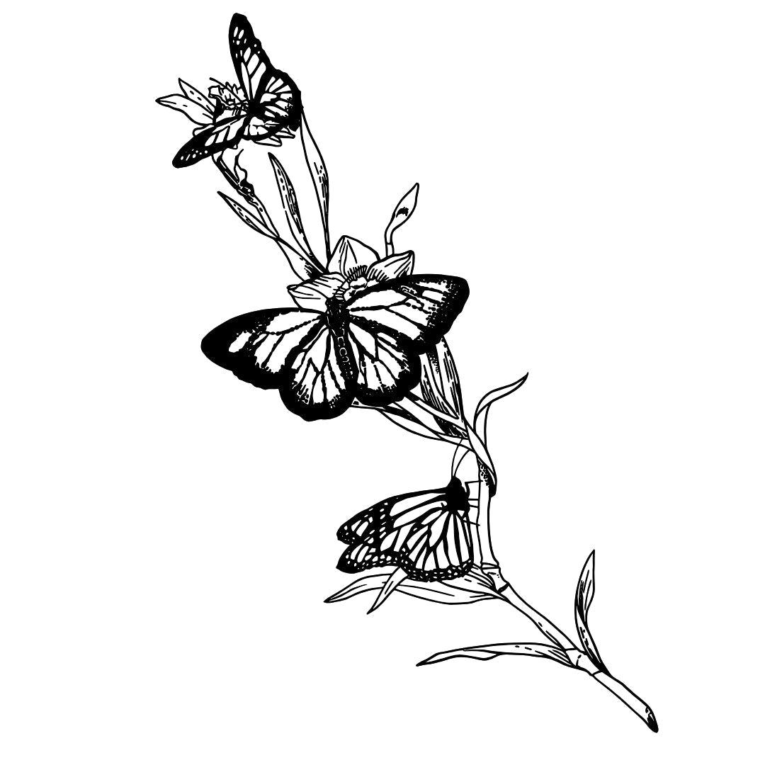 Butterfly dance 2 - Temporalis