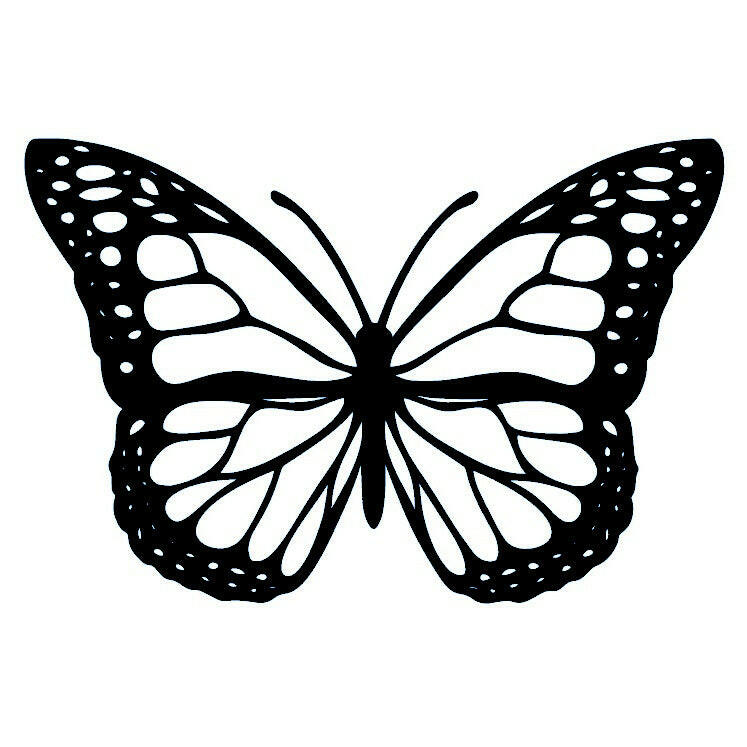 Butterfly silhouette temporary tattoo - 2 | Temporalis
