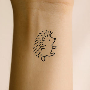Dancing hedgehog 1 - Temporalis