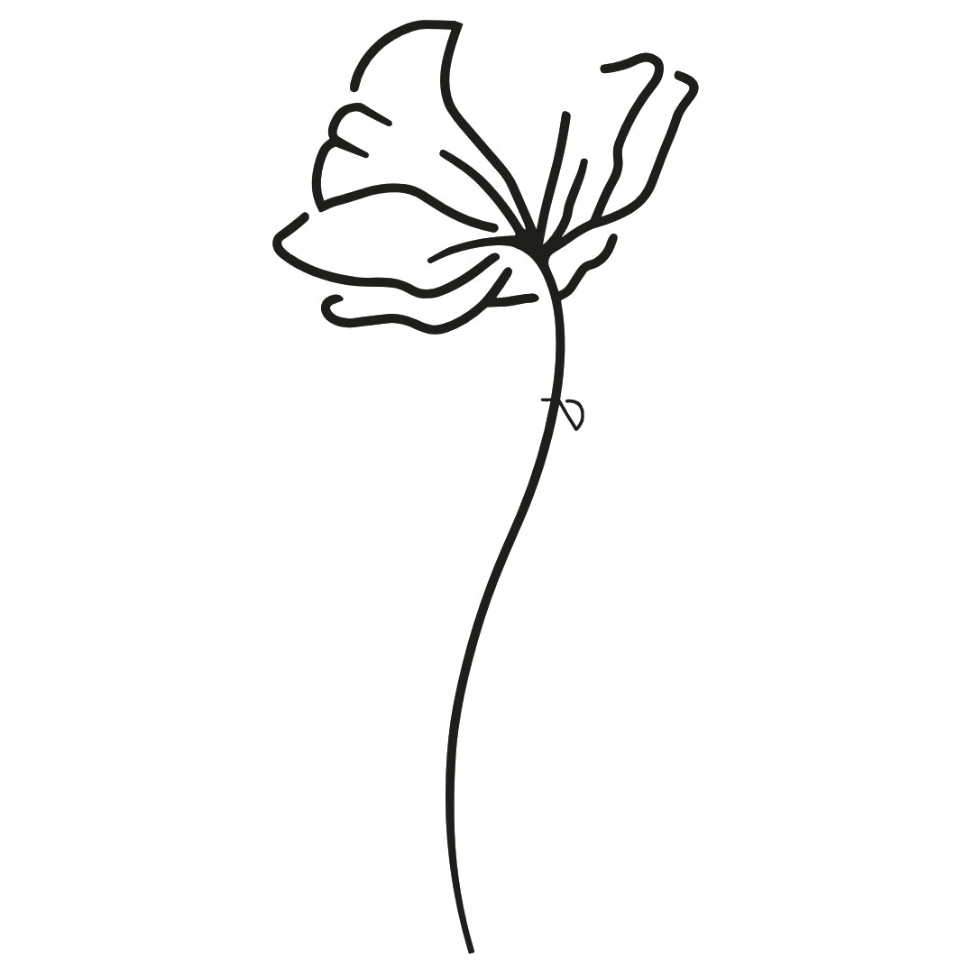 Elegant Poppy 2 - Temporalis