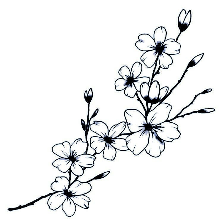 Fine line flower branch temporary tattoo with buds - 2 | Temporalis