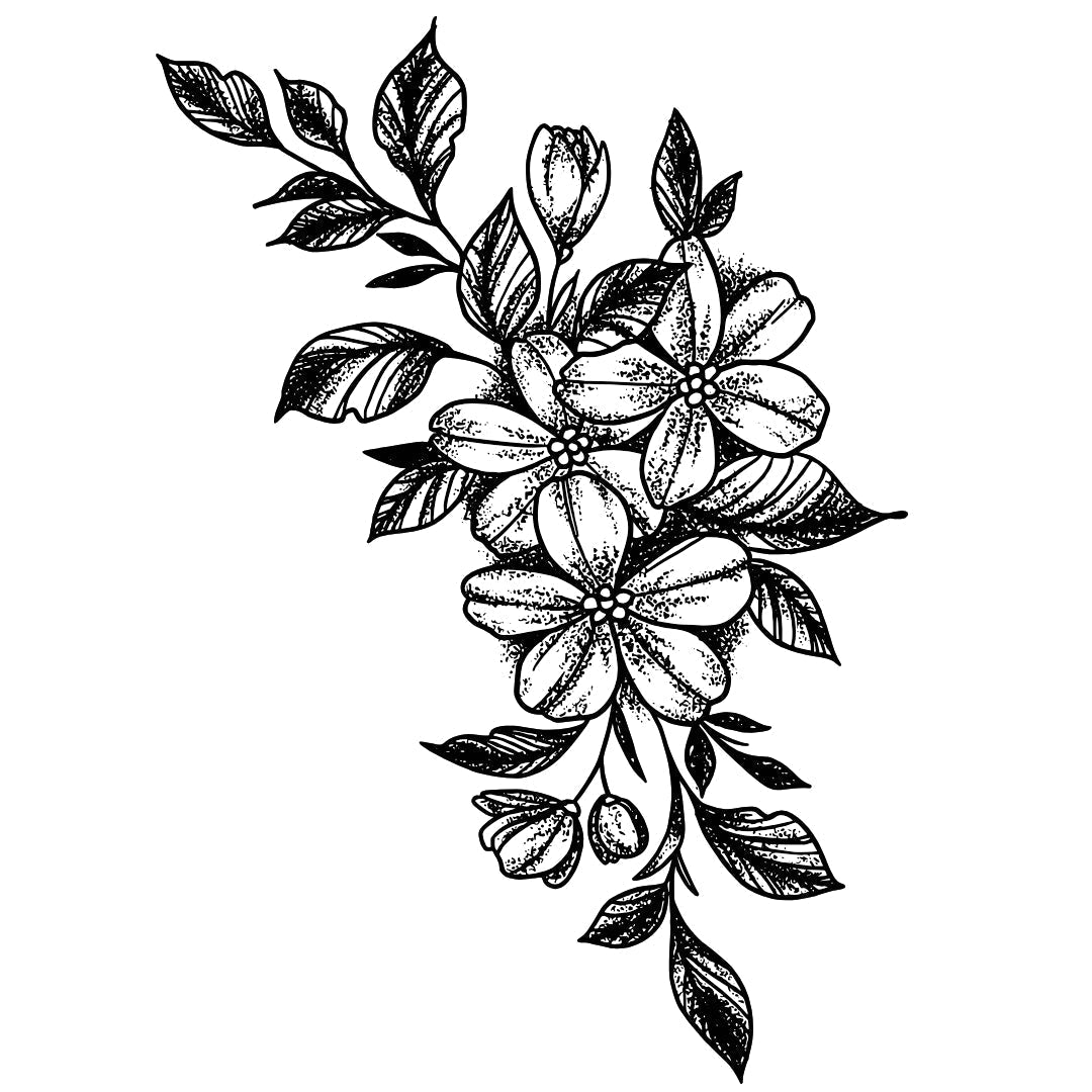 Jasmine flower 2 - Temporalis