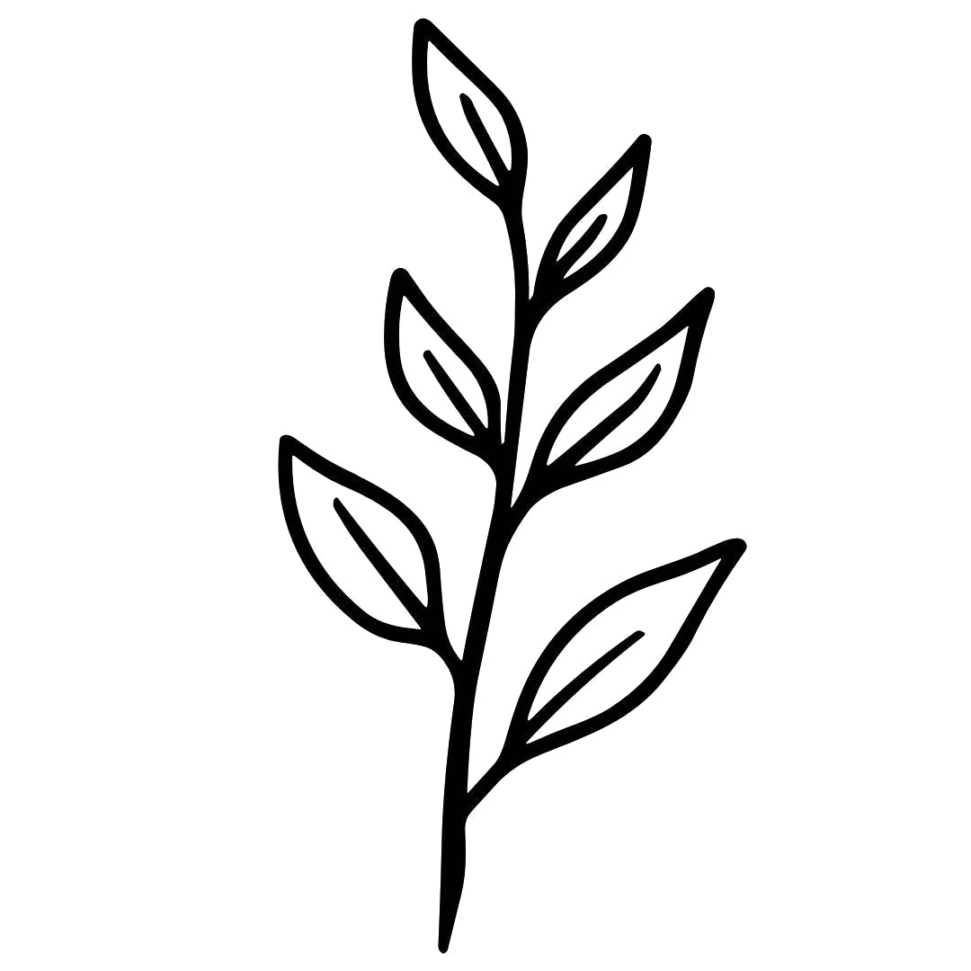 Minimalist Leaf Stem 2 - Temporalis