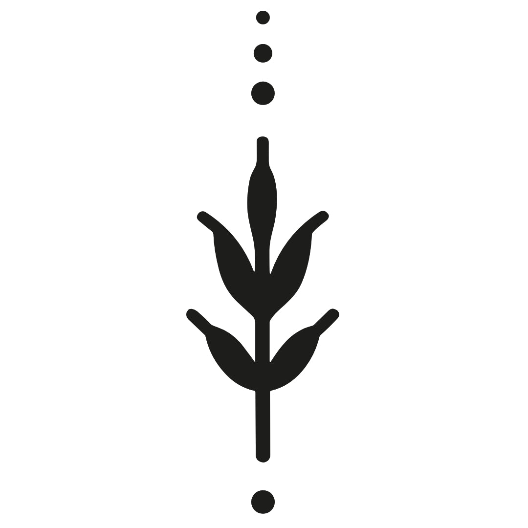 Minimalist wheat 2 - Temporalis