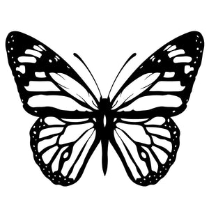 Monarch Butterfly Elegance 2 - Temporalis